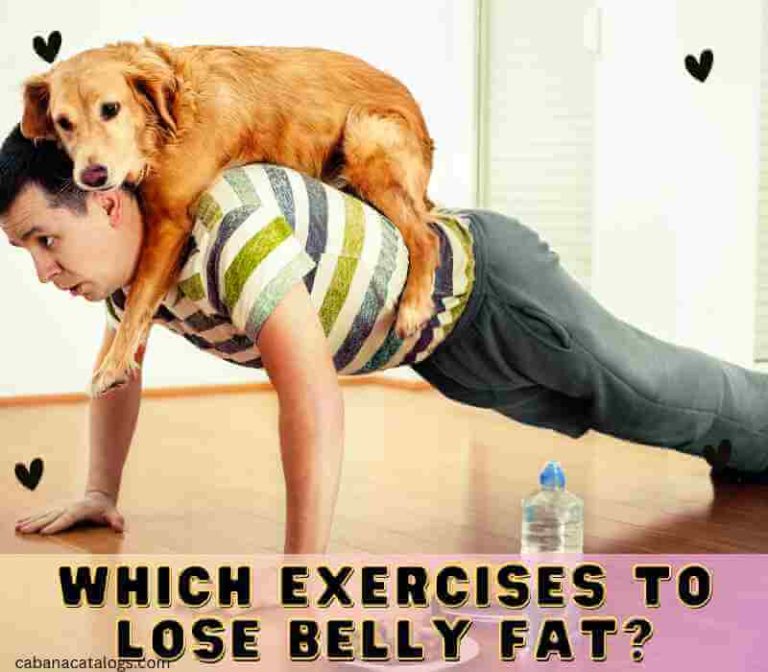 Which Exercises To Lose Belly Fat?