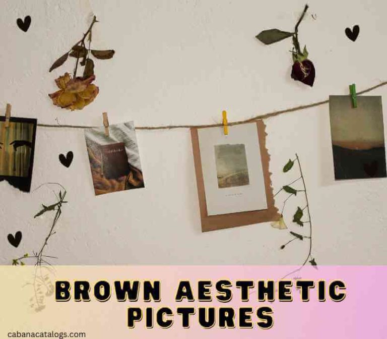 Brown Aesthetic Pictures Pinterest