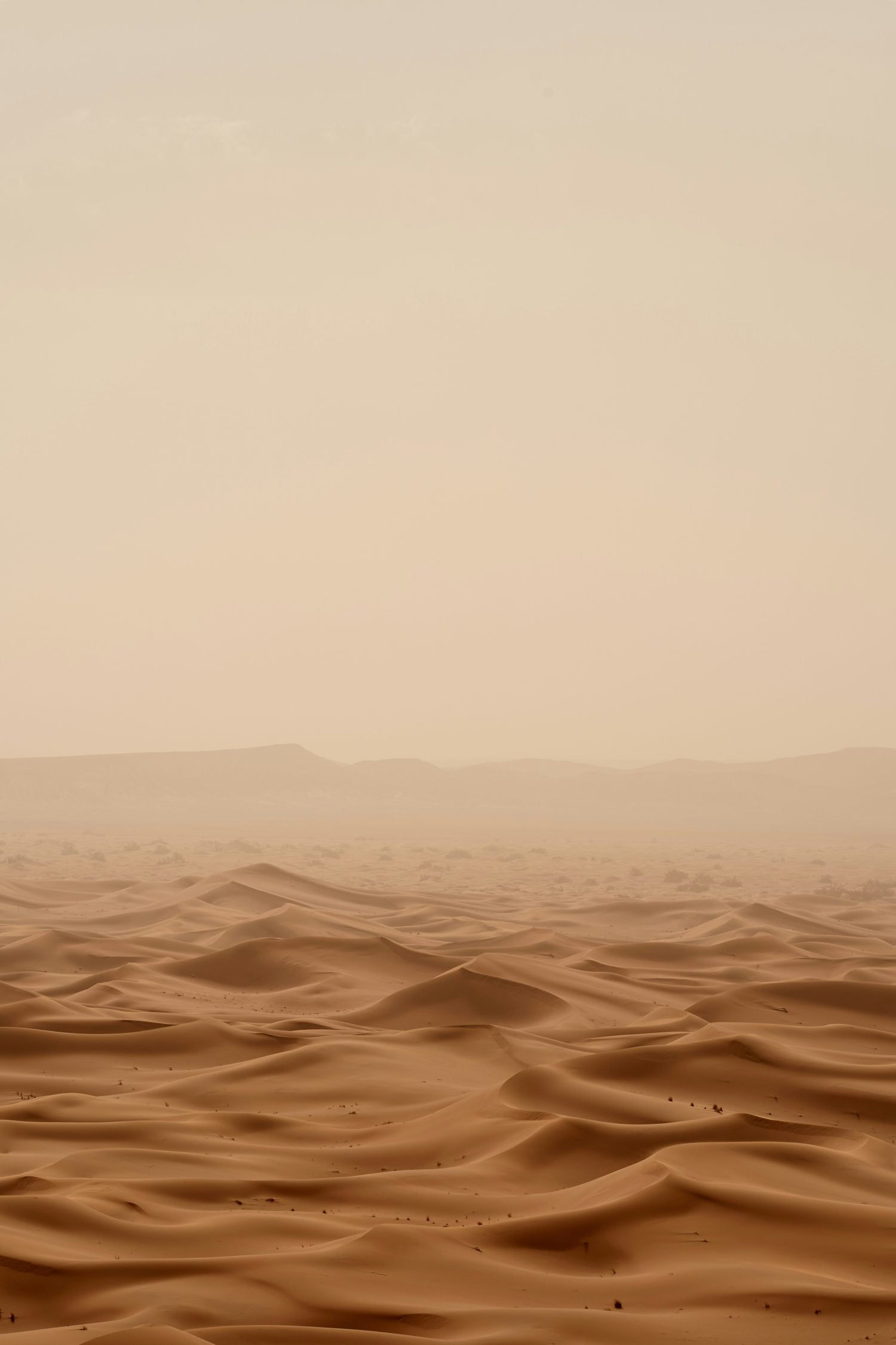 Brown Aesthetic Pictures Pinterest of Desert