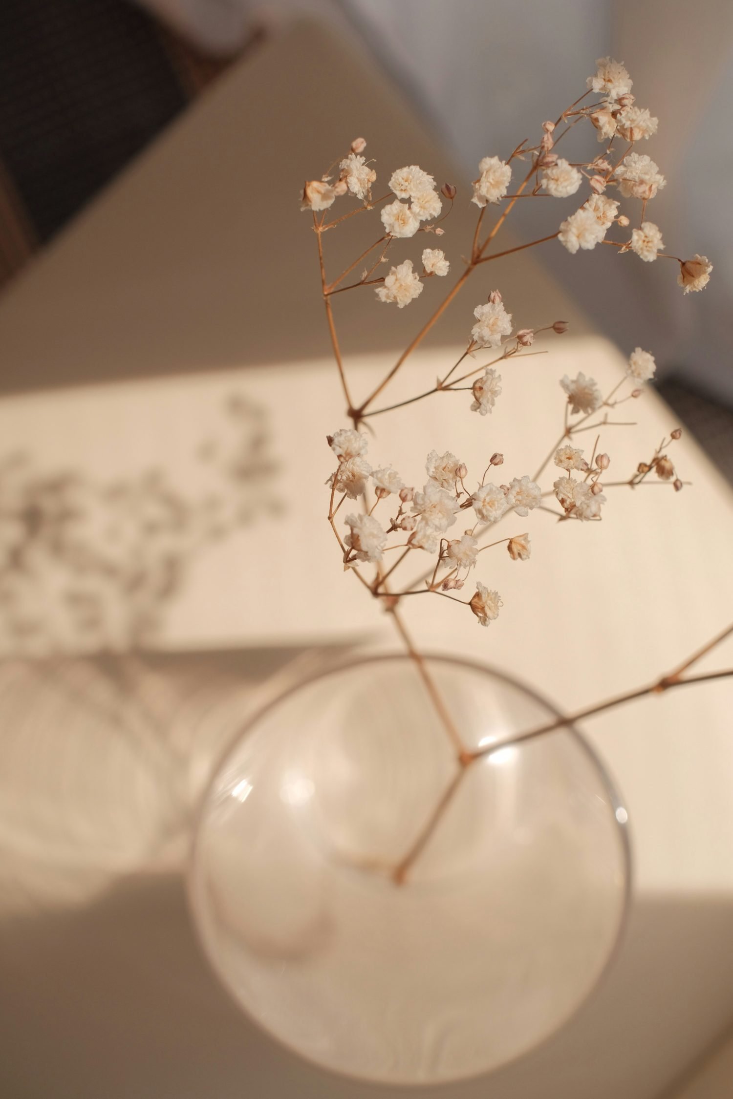 Brown Aesthetic Pictures Pinterest of Flowers