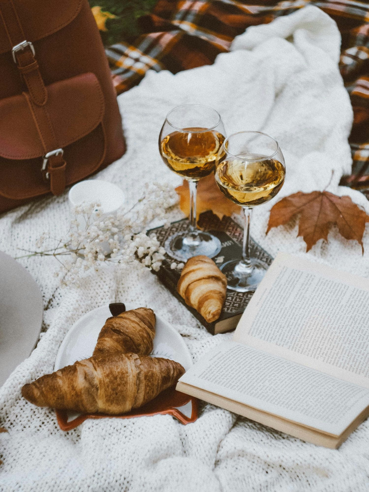 Brown Aesthetic Pictures Pinterest of Autumn Picnic